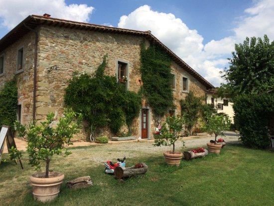 Borro Agriturismo Relais Poggio Primo מראה חיצוני תמונה